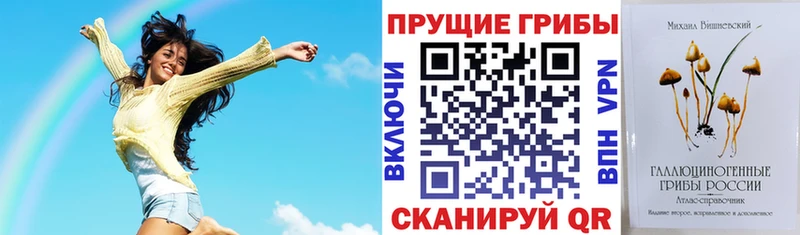 Псилоцибиновые грибы GOLDEN TEACHER  купить закладку  Ессентуки 